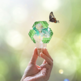 1qhz57xhR6rEizrmerVM